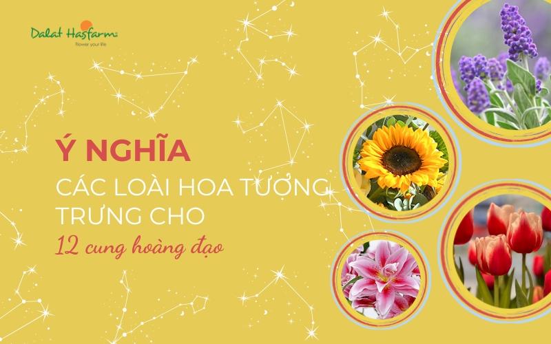 Bó hoa thể hiện ý nghĩa của các loài hoa phù hợp cung Song Ngư 27 2 như sự mơ mộng nhạy cảm